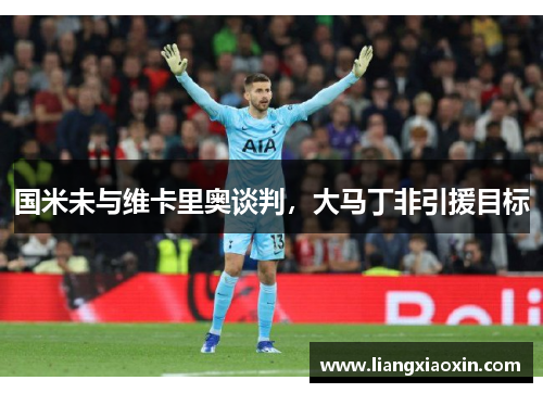 国米未与维卡里奥谈判，大马丁非引援目标
